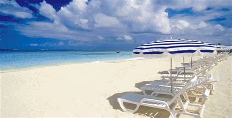 beach vacation gifs